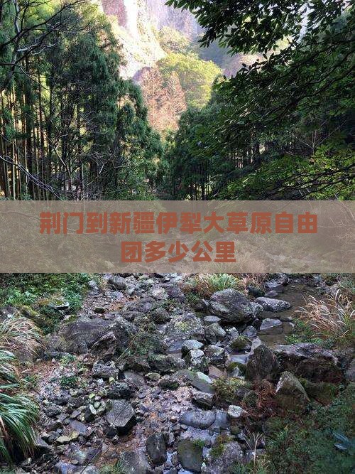 荆门到新疆伊犁大草原自由团多少公里