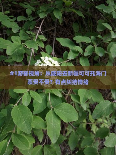 #1游客视角：从咸阳去新疆可可托海门票贵不贵？有点纠结情绪
