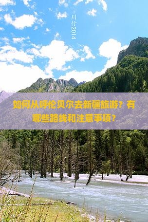 如何从呼伦贝尔去新疆旅游？有哪些路线和注意事项？