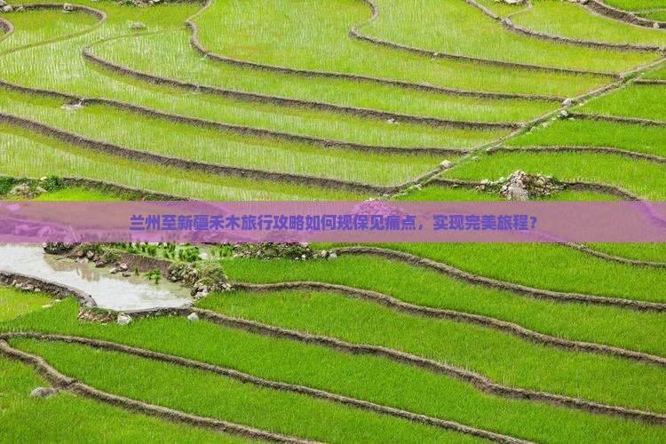 兰州至新疆禾木旅行攻略如何规保见痛点，实现完美旅程？