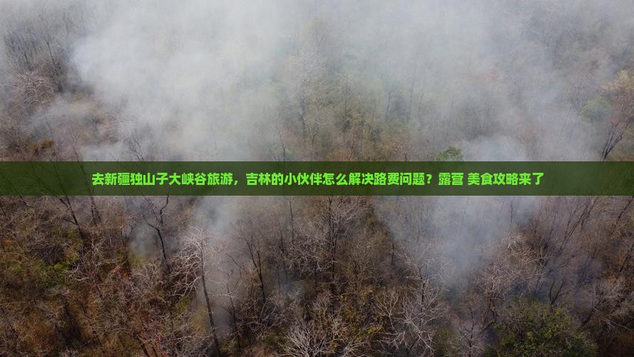 去新疆独山子大峡谷旅游，吉林的小伙伴怎么解决路费问题？露营+美食攻略来了
