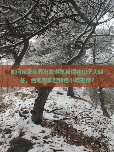 如何从张家界出发游览新疆独山子大峡谷，当地有哪些特色小吃推荐？