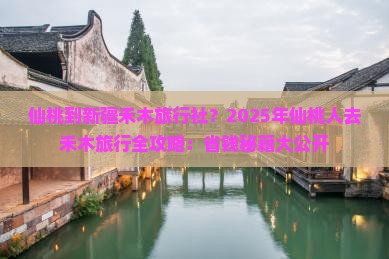 仙桃到新疆禾木旅行社