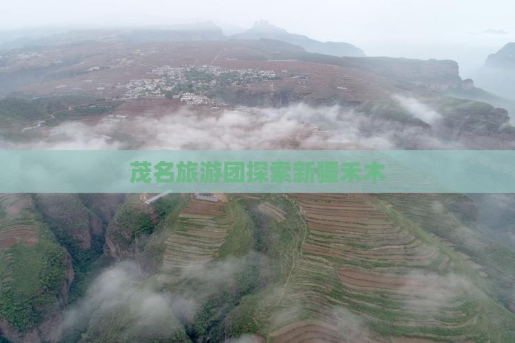 茂名到新疆禾木大型旅游团