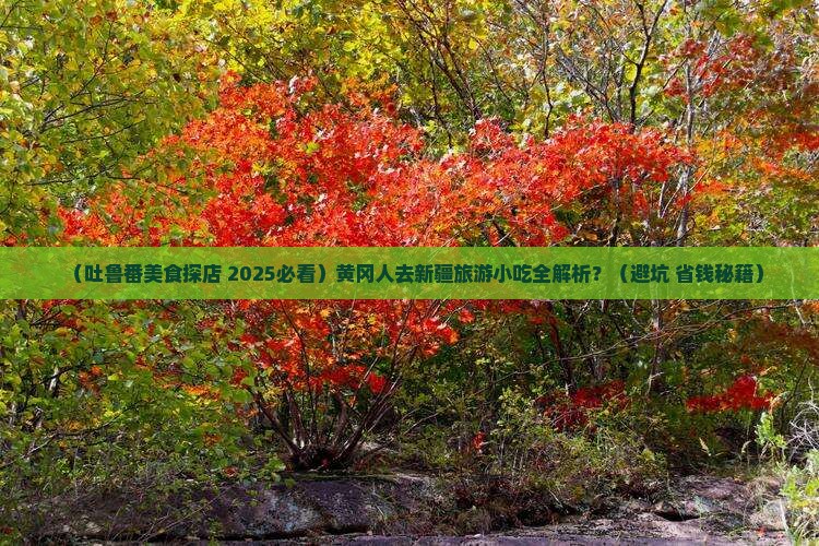 黄冈去新疆吐鲁番旅游小吃