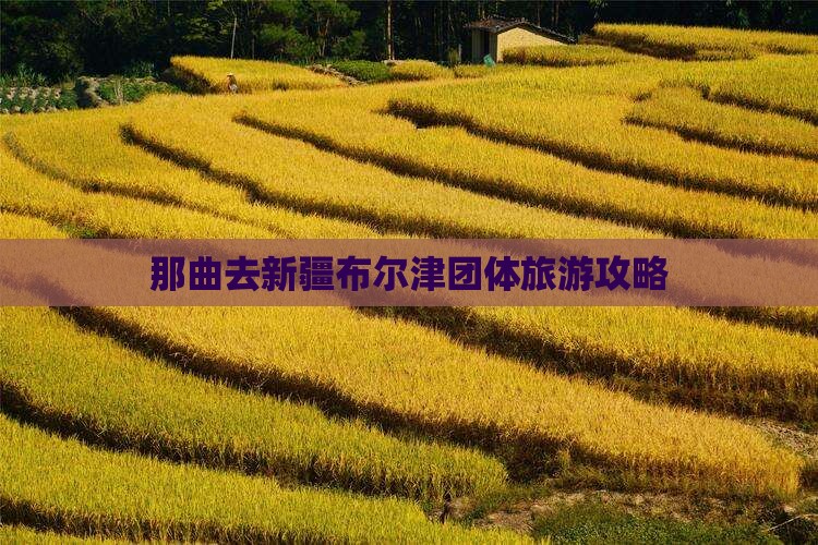 那曲去新疆布尔津团体旅游