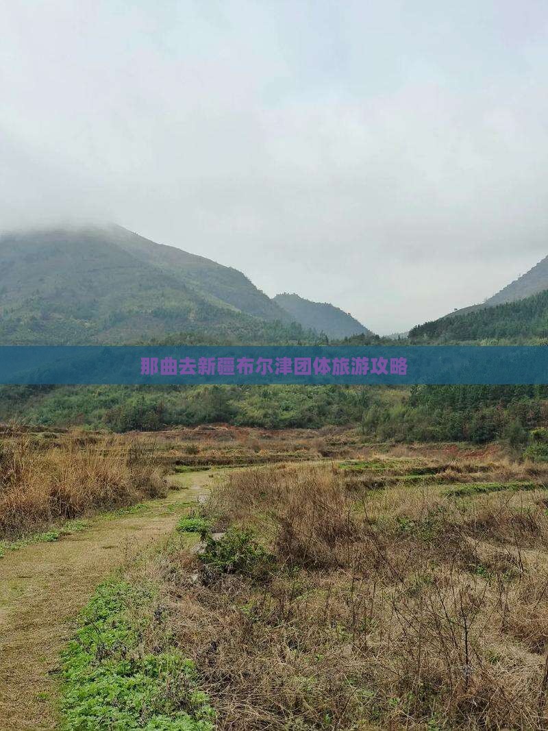 那曲去新疆布尔津团体旅游