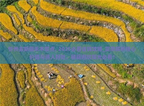 忻州去新疆禾木景点