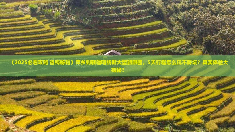 萍乡到新疆喀纳斯大型旅游团