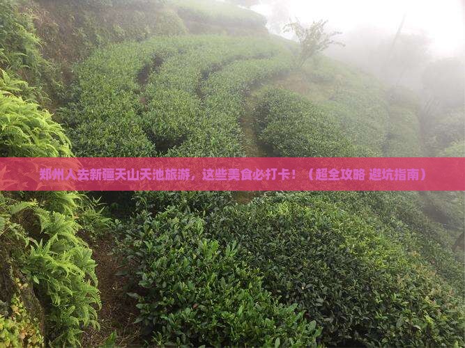 郑州去新疆天山天池旅游小吃