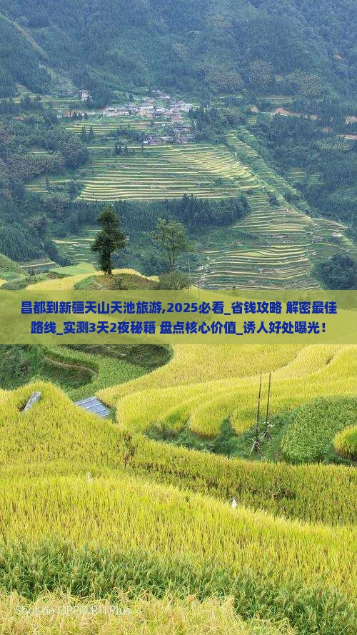 昌都到新疆天山天池旅游