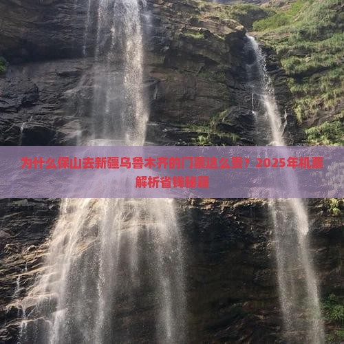 保山去新疆乌鲁木齐门票