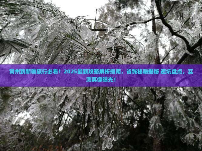 常州到新疆旅行社
