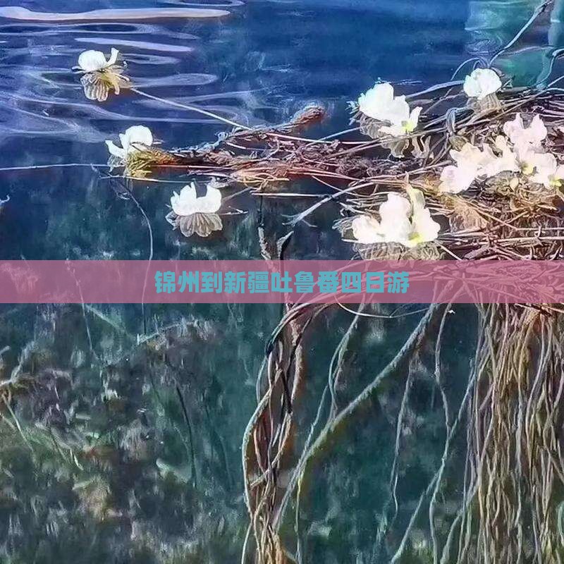 锦州到新疆吐鲁番四日游