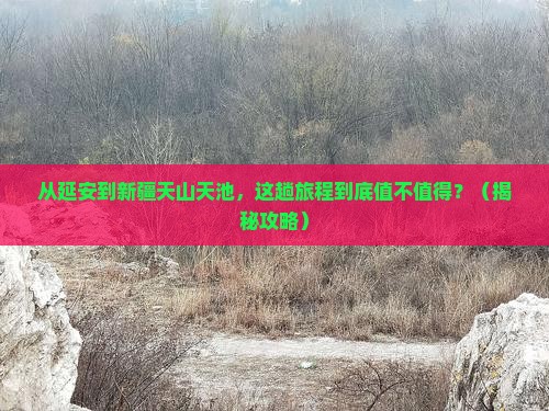 延安到新疆天山天池旅行社