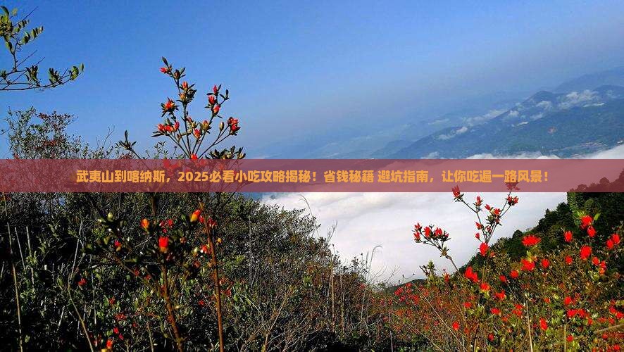 武夷山去新疆喀纳斯旅游小吃