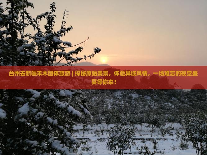 台州去新疆禾木团体旅游