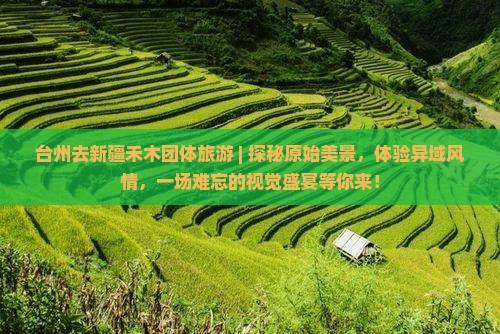 台州去新疆禾木团体旅游