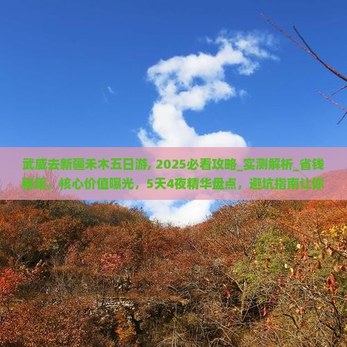 武威去新疆禾木五日游