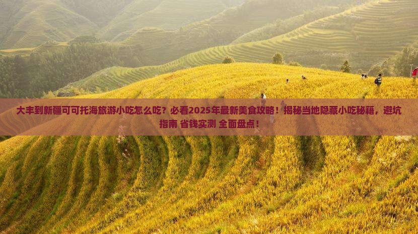 大丰到新疆可可托海旅游小吃