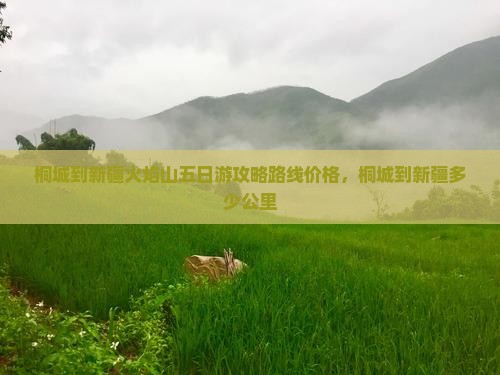 桐城到新疆火焰山五日游