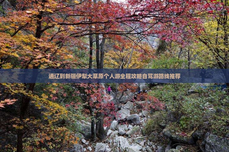 通辽到新疆伊犁大草原个人游