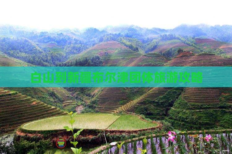 白山到新疆布尔津团体旅游