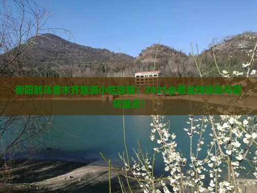 衡阳到新疆乌鲁木齐旅游小吃