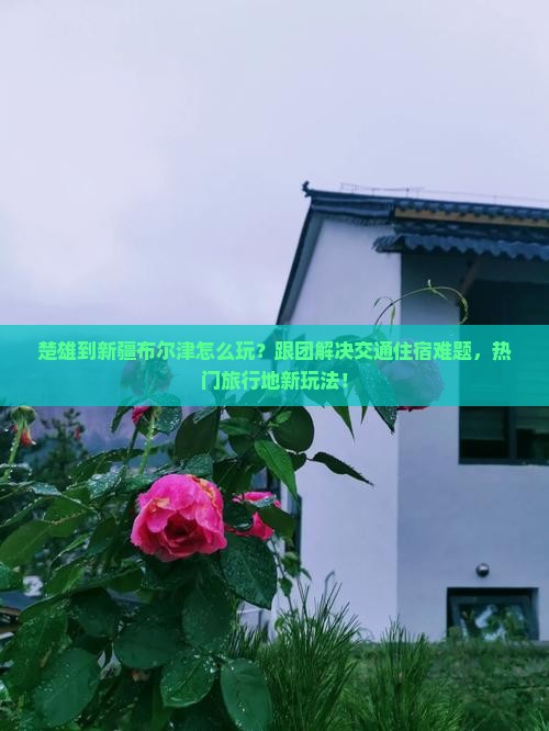 楚雄到新疆布尔津团体旅游