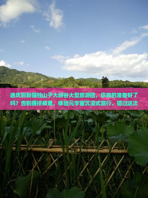 迪庆到新疆独山子大峡谷大型旅游团
