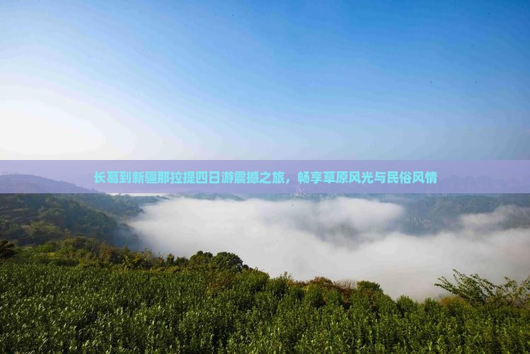 长葛到新疆那拉提四日游