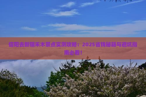 信阳去新疆禾木景点