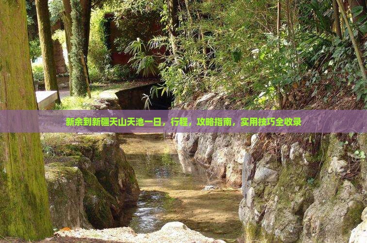 新余到新疆天山天池一日