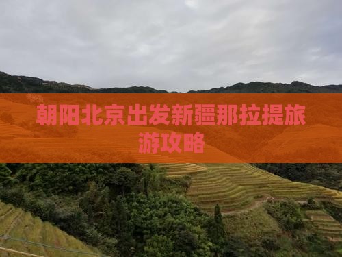 朝阳去新疆那拉提团体旅游
