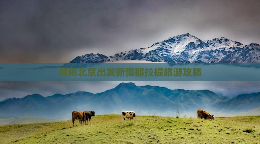 朝阳去新疆那拉提团体旅游
