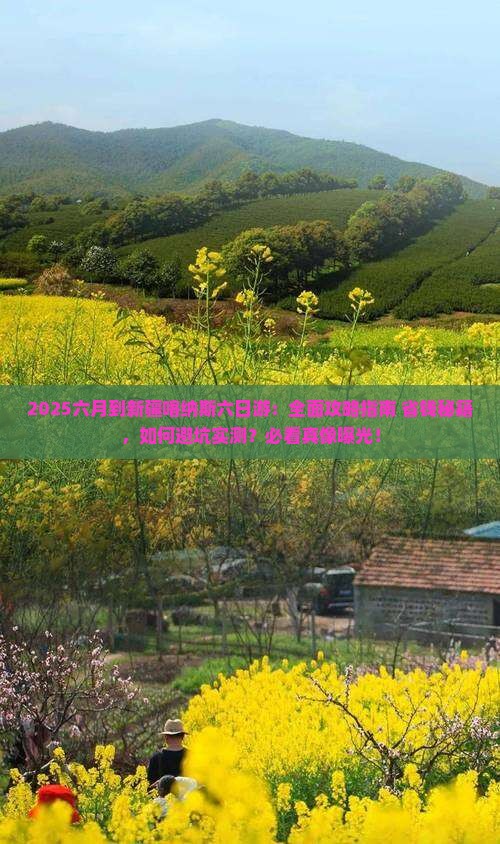 六月到新疆喀纳斯六日游