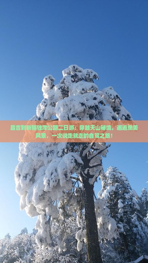 昌吉到新疆独库公路二日游
