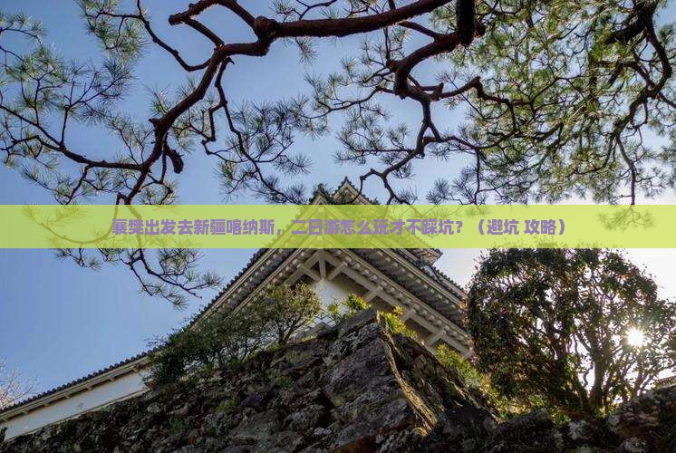 襄樊去新疆喀纳斯二日游