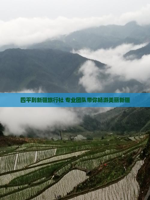 四平到新疆旅行社