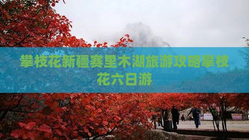 攀枝花去新疆赛里木湖六日游 攀枝花去新疆赛里木湖六日游