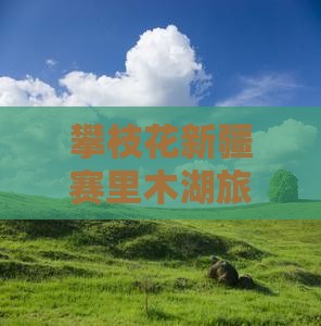 攀枝花去新疆赛里木湖六日游 攀枝花去新疆赛里木湖六日游