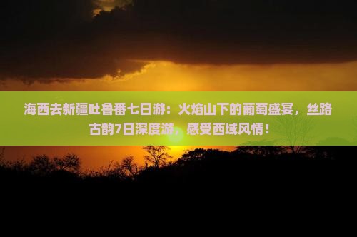 海西去新疆吐鲁番七日游