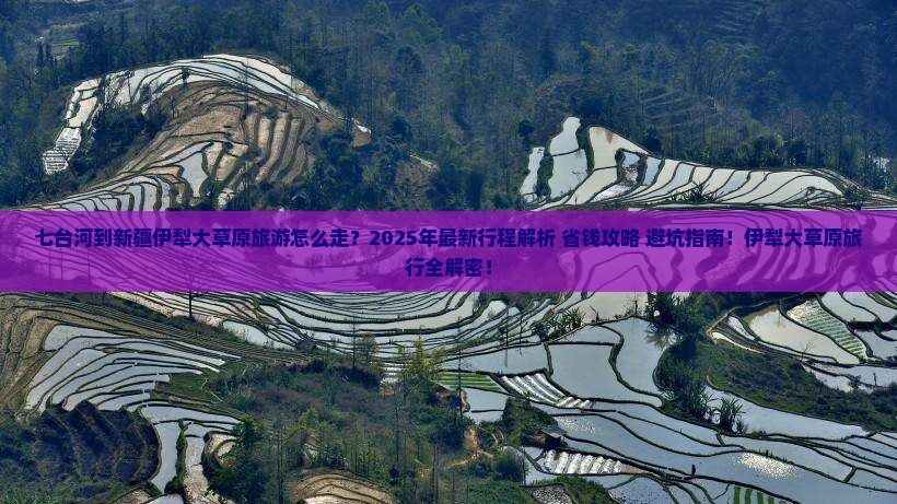 七台河到新疆伊犁大草原旅游