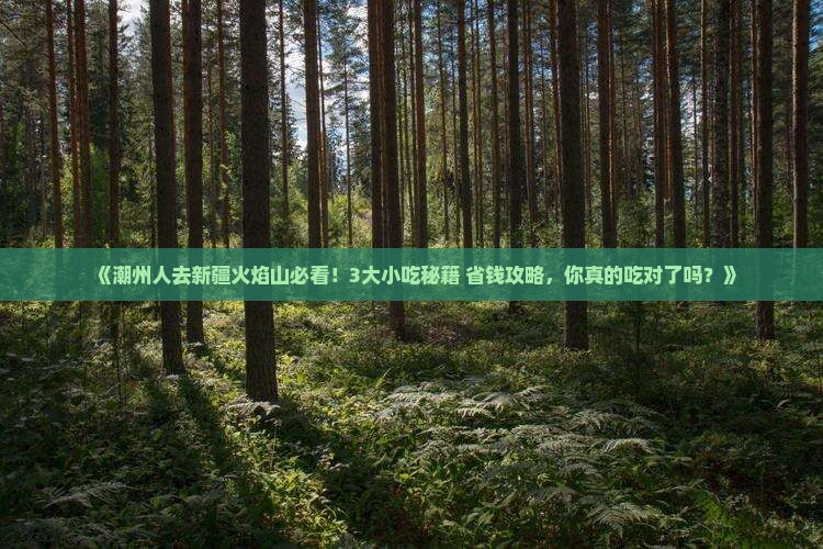 潮州去新疆火焰山旅游小吃