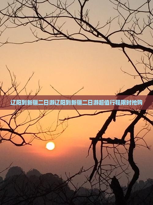辽阳到新疆二日游
