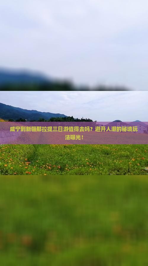 咸宁到新疆那拉提三日游