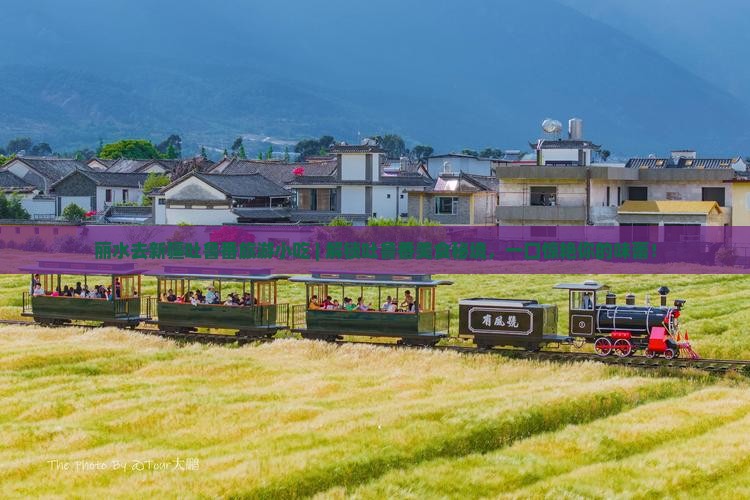 丽水去新疆吐鲁番旅游小吃