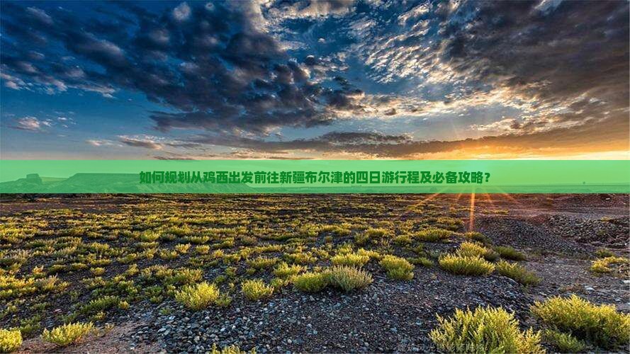 如何规划从鸡西出发前往新疆布尔津的四日游行程及必备攻略？