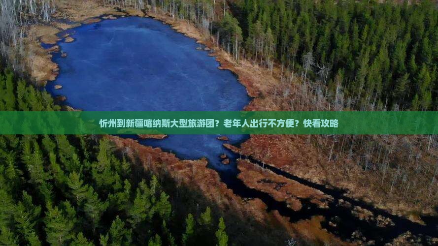 忻州到新疆喀纳斯大型旅游团？老年人出行不方便？快看攻略