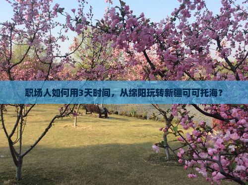 职场人如何用3天时间，从绵阳玩转新疆可可托海？